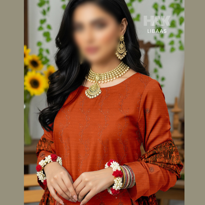 Chamki Dhanak Daman Aplic Embroidered - HAK Libaas AS-204C